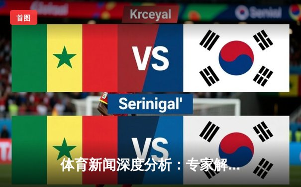 体育新闻深度分析：专家解读